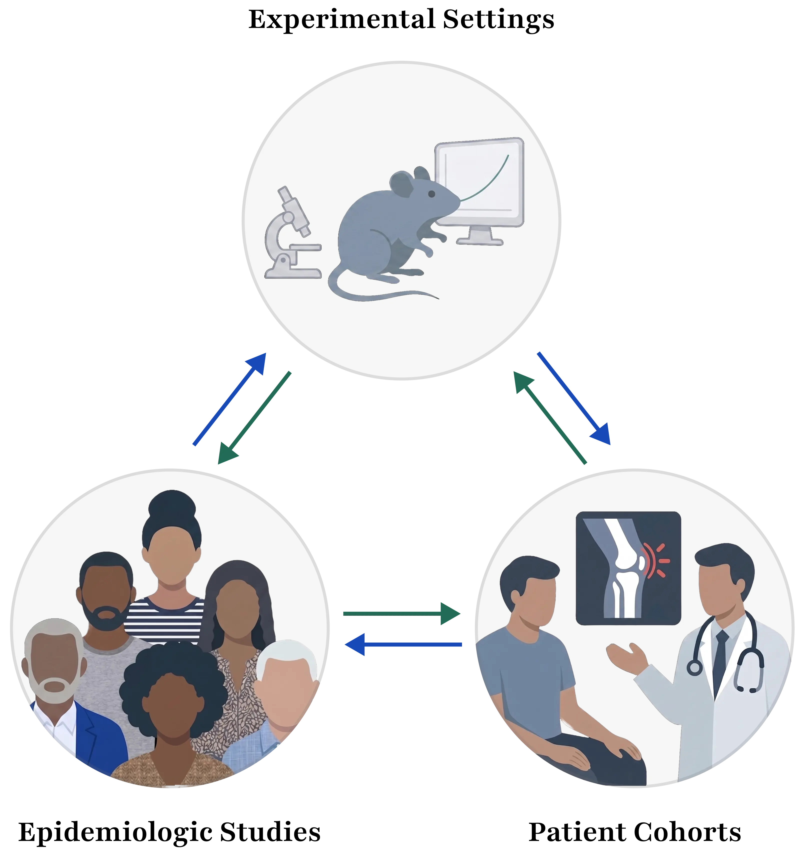 Research workflow: experimental settings, patient cohorts, and epidemiologic studies